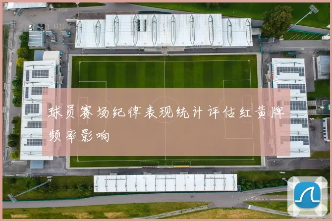 球员赛场纪律表现统计评估红黄牌频率影响