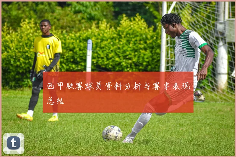西甲联赛球员资料分析与赛季表现总结