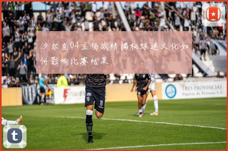 沙尔克04主场战绩揭秘球迷文化如何影响比赛结果